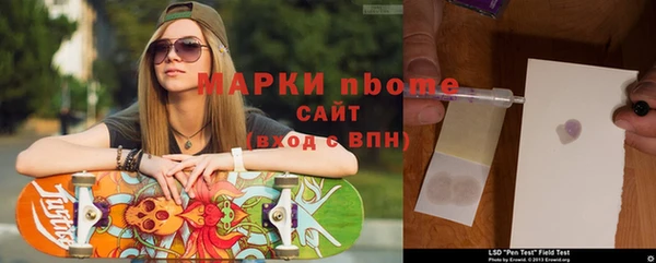 прущие грибы Абаза