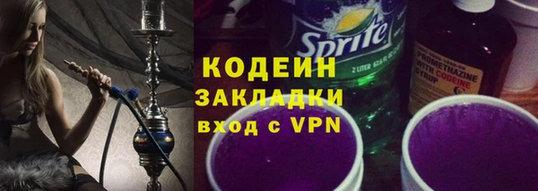 прущие грибы Абаза