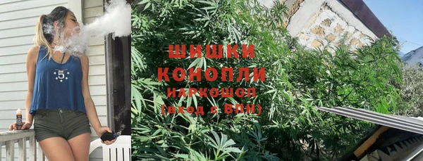 прущие грибы Абаза