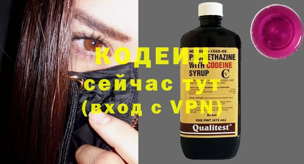 прущие грибы Абаза