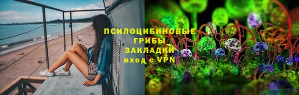 прущие грибы Абаза
